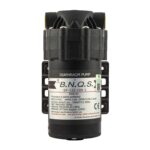 BNQS 100 GPD Pump