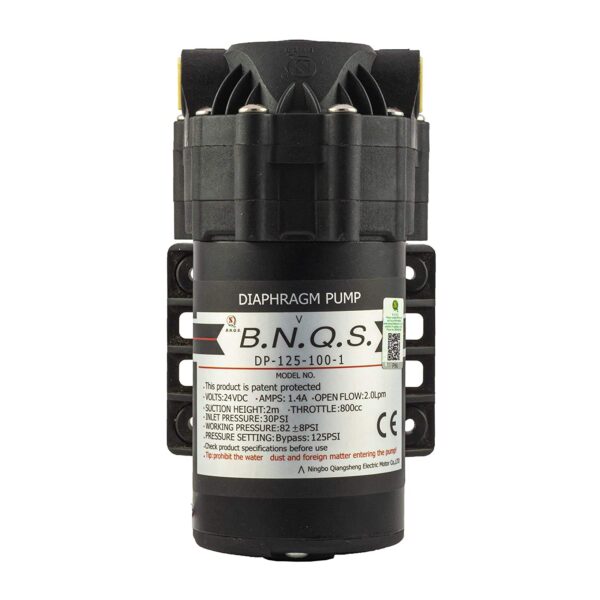 BNQS 100 GPD Pump
