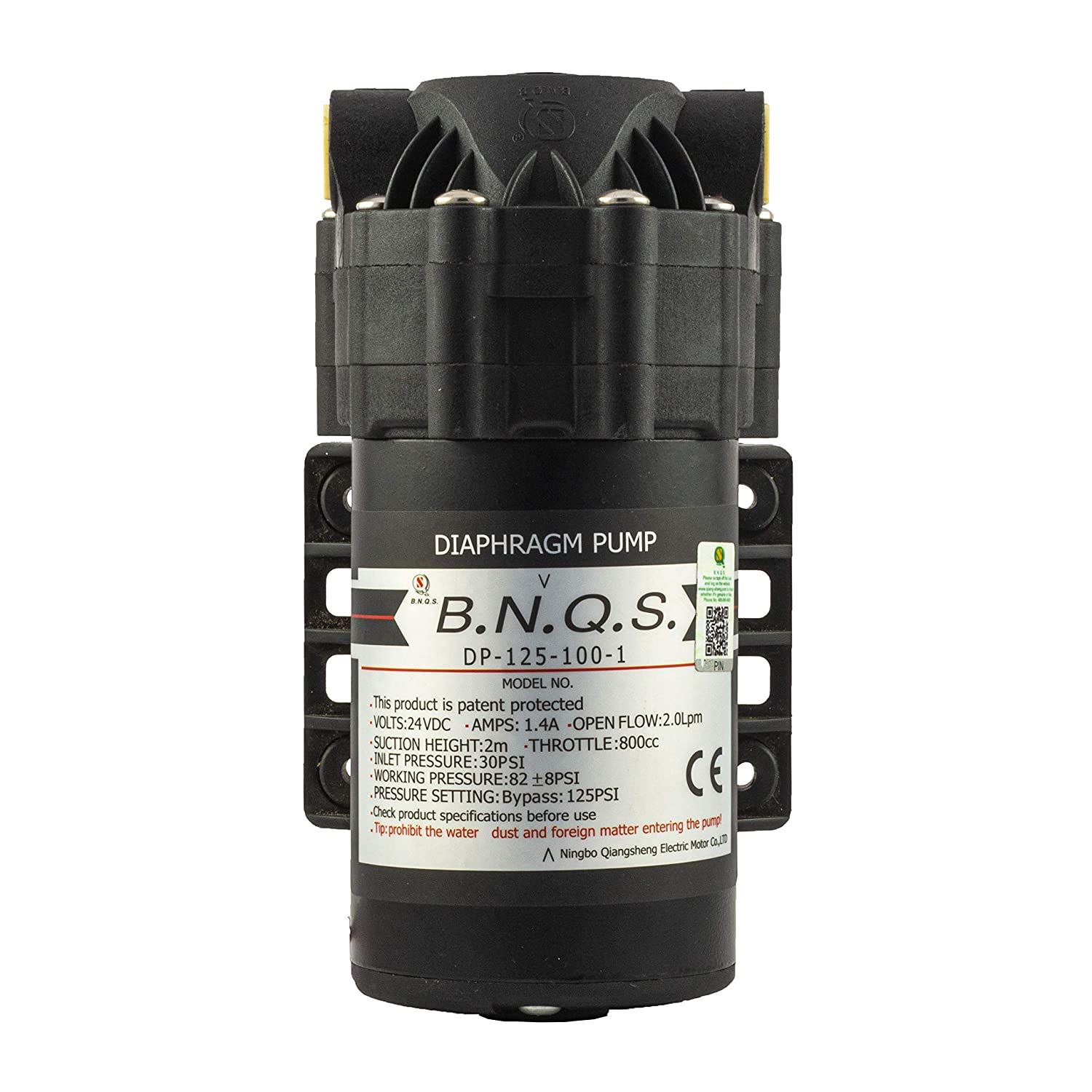BNQS PUMP 2 BNQS 100 GPD Pump
